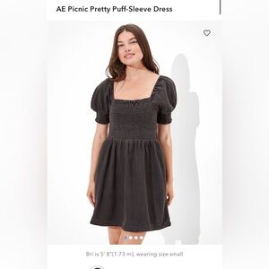 AE Picnic Pretty Puff Sleeve Smocked Mini Dress Sz Small